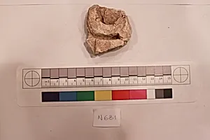 Stucco Fragment