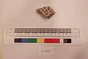 Stucco Fragment