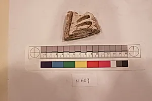 Stucco Fragment