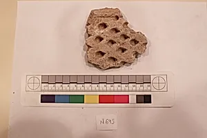 Stucco Fragment