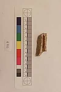 Stucco Fragment
