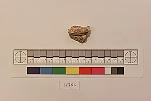 Stucco Fragment