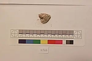 Stucco Fragment