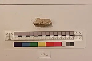 Stucco Fragment
