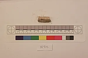 Stucco Fragment