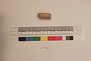 Stucco Fragment