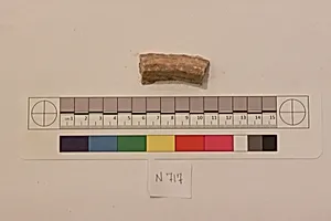 Stucco Fragment by Unknown Artist