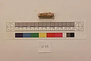 Stucco Fragment