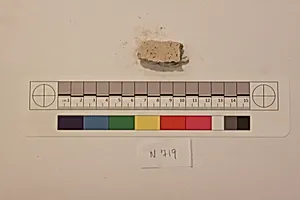 Stucco Fragment