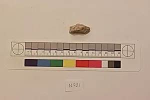 Stucco Fragment