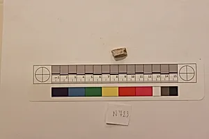 Stucco Fragment by Unknown Artist