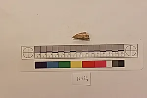 Stucco Fragment
