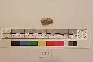 Stucco Fragment