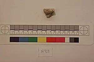 Stucco Fragment