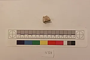 Stucco Fragment