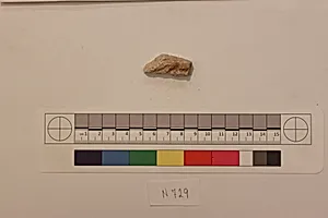 Stucco Fragment
