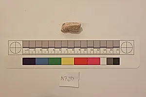 Stucco Fragment