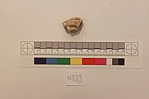 Stucco Fragment