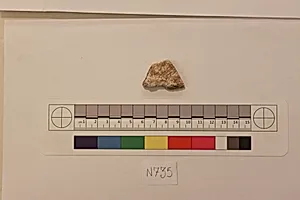 Stucco Fragment