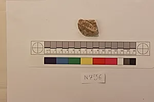 Stucco Fragment