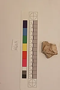 Stucco Fragment by Unknown Artist