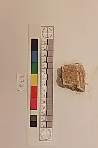 Stucco Fragment