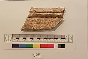 Stucco Fragment