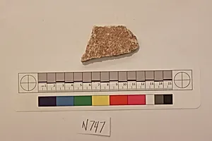 Stucco Fragment