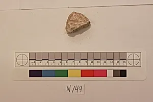 Stucco Fragment
