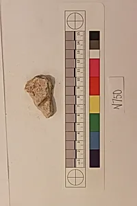 Stucco Fragment