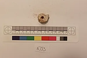 Stucco Fragment