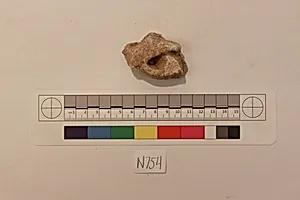 Stucco Fragment