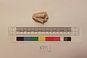 Stucco Fragment