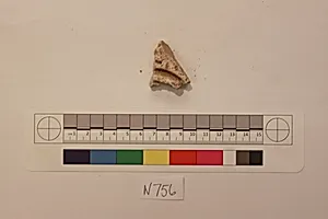 Stucco Fragment