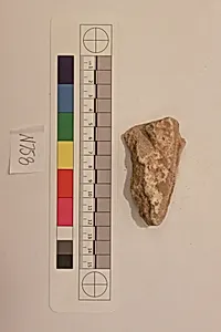 Stucco Fragment