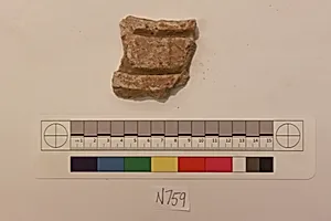 Stucco Fragment