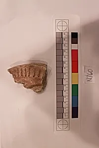 Stucco Fragment