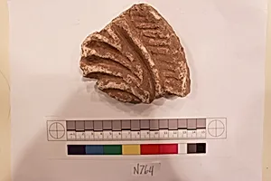 Stucco Fragment