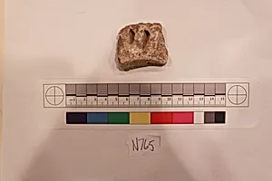 Stucco Fragment