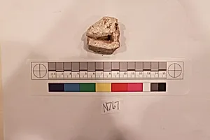 Stucco Fragment