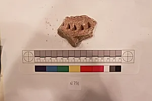 Stucco Fragment