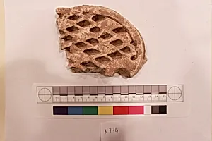 Stucco Fragment