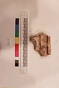Stucco Fragment