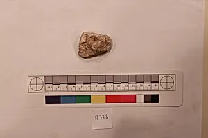 Stucco Fragment