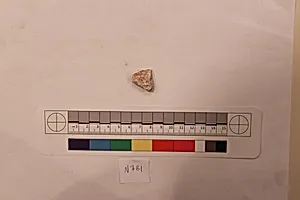 Stucco Fragment