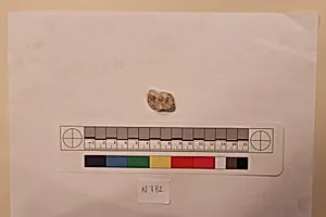 Stucco Fragment
