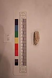 Stucco Fragment