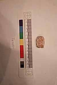 Stucco Fragment