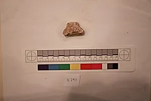 Stucco Fragment