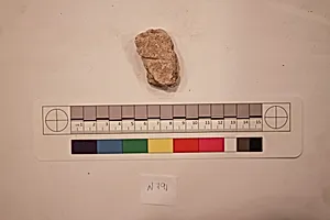 Stucco Fragment